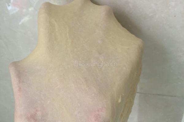 淡奶油椰蓉餐包（一次发酵法）的做法图解4