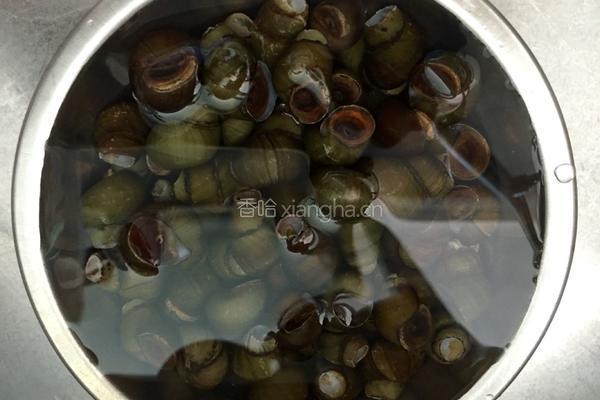 炒螺的做法图解1