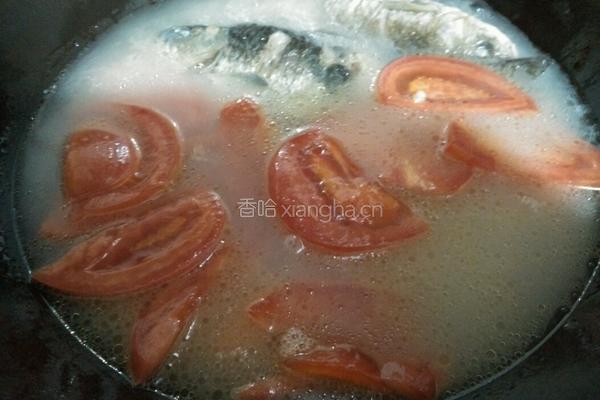 蕃茄鲫鱼汤的做法图解5