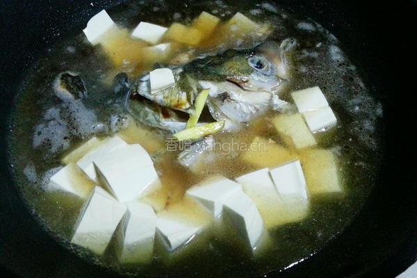 花鲢鱼头豆腐汤的做法图解6