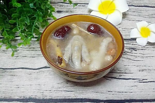 当归鸡脚的做法图解8