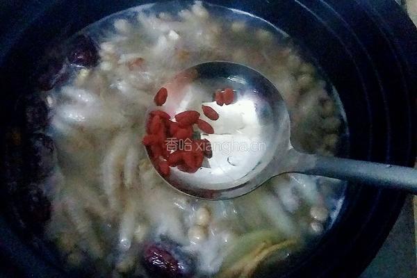 当归鸡脚的做法图解6