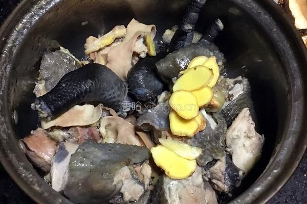 松茸鸡汤的做法图解3