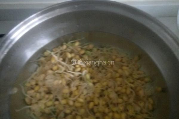 韭菜豆芽炒粉丝的做法图解3