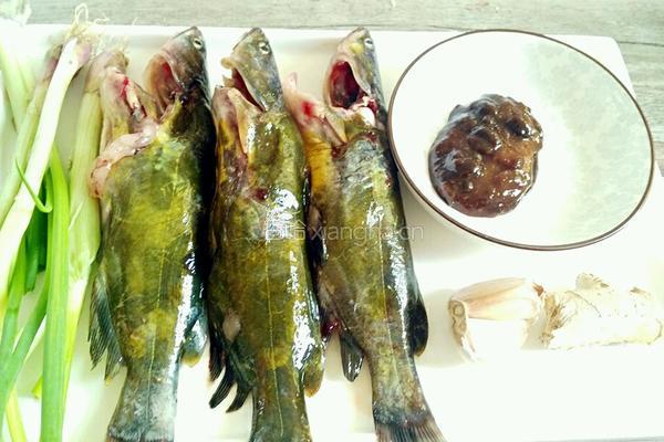 酱烧黄颡鱼的做法图解1