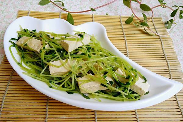 豌豆苗烩豆腐的做法图解11