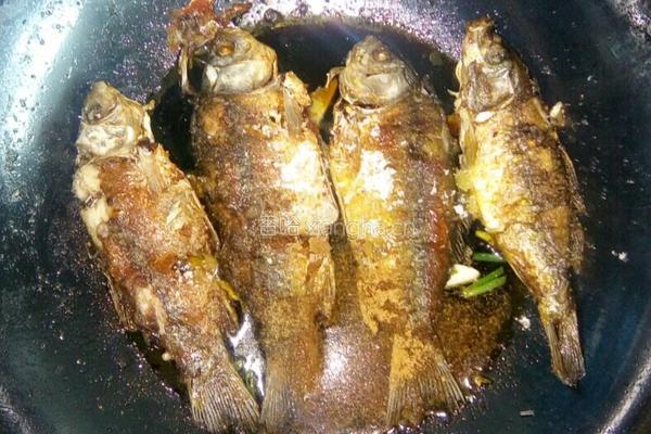 酥焖鲫鱼的做法图解7