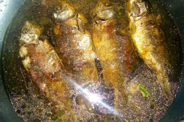 酥焖鲫鱼的做法图解8