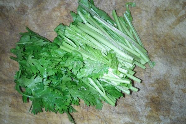 香菜拌牛百叶的做法图解3