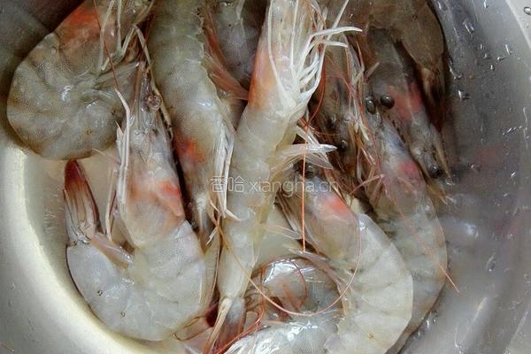 菠萝虾的做法图解1