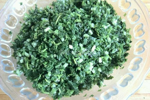 地瓜面山菜包子的做法图解8