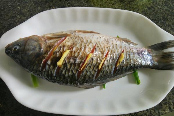 葱油鲫鱼的做法图解2