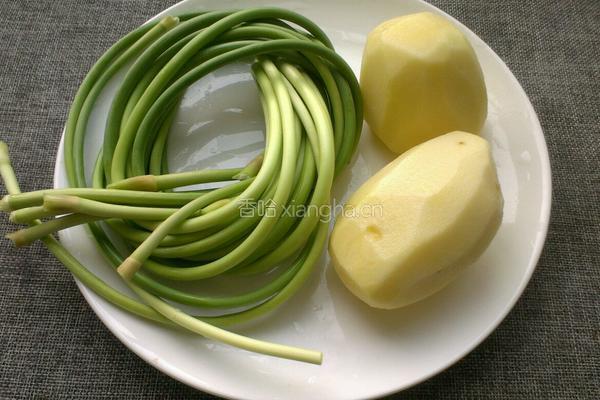 土豆条炒蒜苔的做法图解1