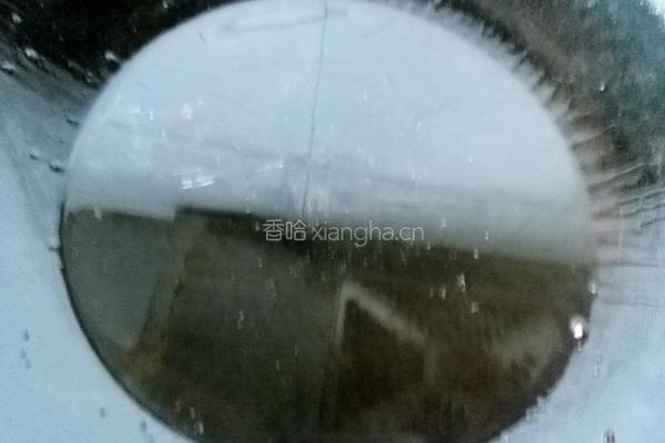 红烧粉皮的做法图解2