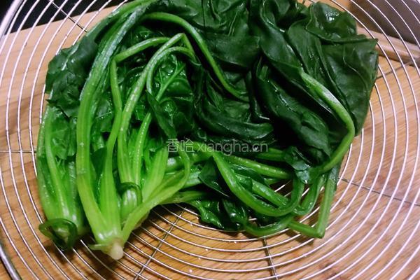 菠菜拌粉条的做法图解5
