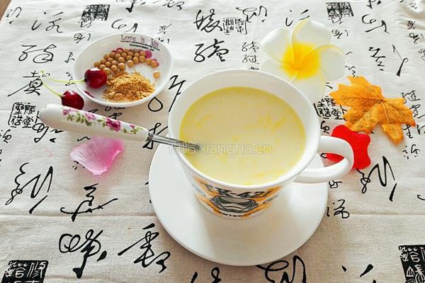 亚麻子豆浆的做法图解8