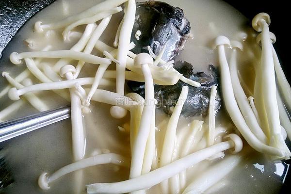 鱼头汤的做法图解8