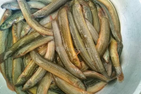 沙锅泥鳅炖豆腐的做法图解1