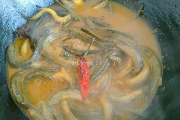 沙锅泥鳅炖豆腐的做法图解9