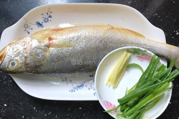 清蒸大黄鱼的做法图解2