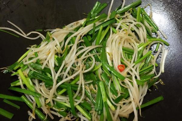 韭菜豆芽的做法图解5
