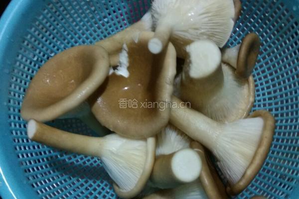 猪肚菇炒香肠的做法图解1