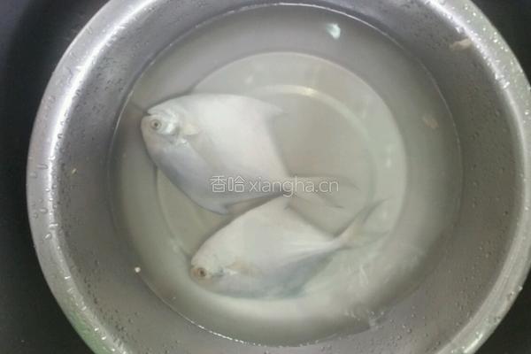 干烧鳊鱼的做法图解1