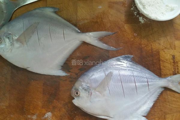 干烧鳊鱼的做法图解2