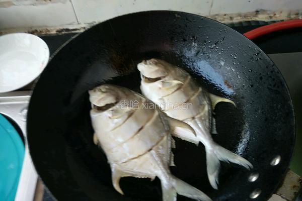 番茄鲳鱼的做法图解4