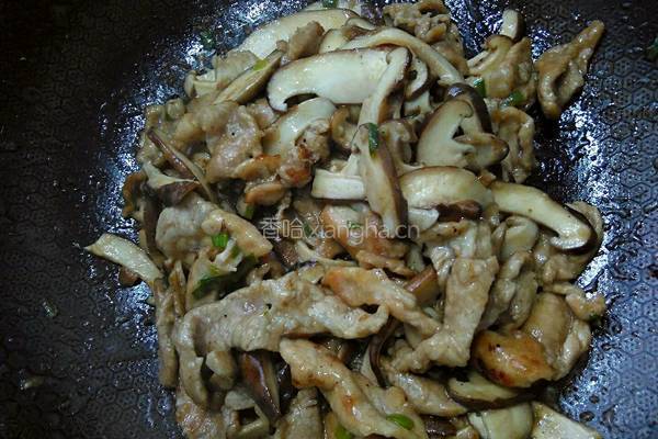 香菇炒牛肉的做法图解15