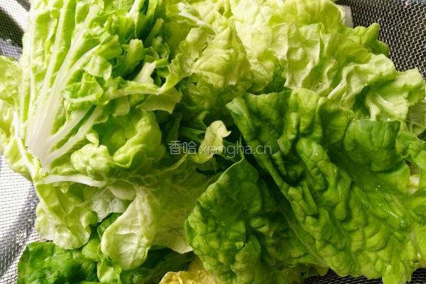 清炒小青菜的做法图解2