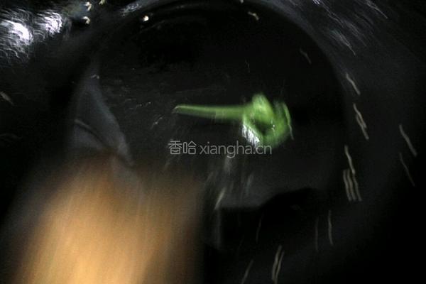 瓠子肉圆汤的做法图解2