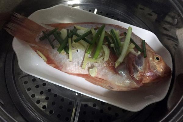 清蒸彩云雕的做法图解5