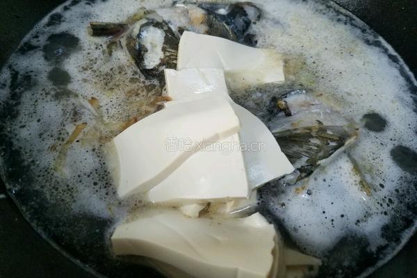 鲢鱼头豆腐汤的做法图解8