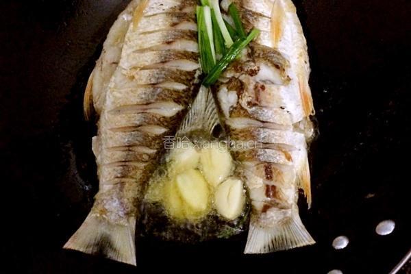 鲮鱼豆腐汤的做法图解4