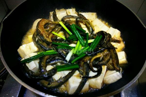泥鳅豆腐的做法图解13