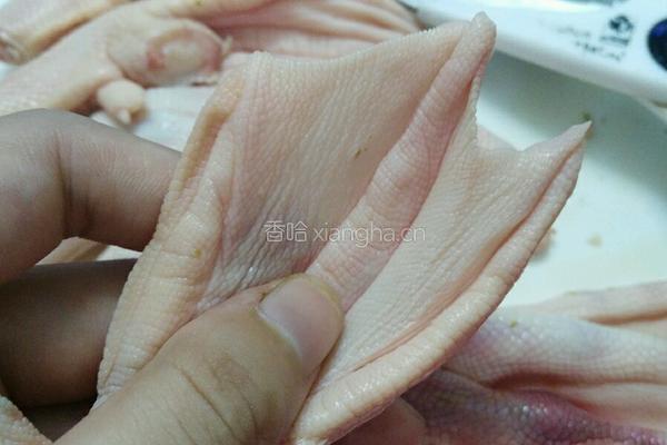 冬菇扒鸭掌的做法图解3