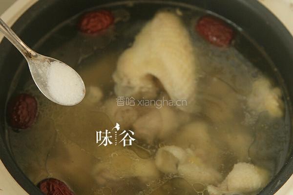白果炖鸡的做法图解7