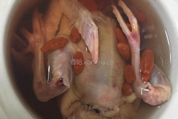 清炖乳鸽的做法图解4
