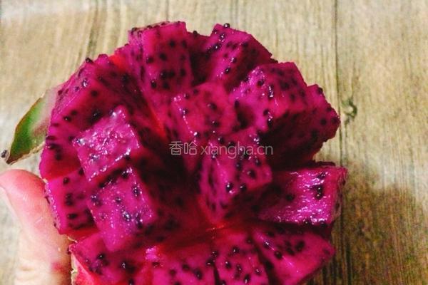 西米火龙果的做法图解7