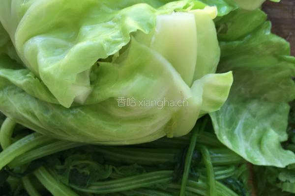 芹菜圆白菜肉包子的做法图解1