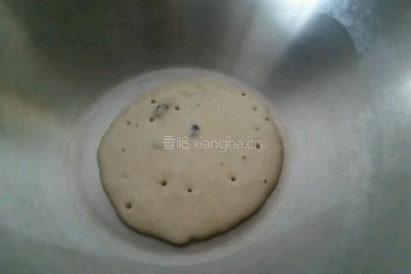 燕麦饼的做法图解4