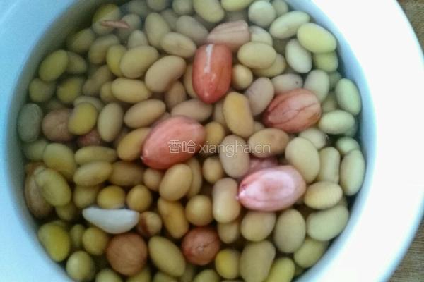 花生黄豆豆浆的做法图解3