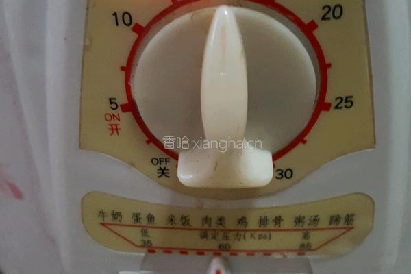 当归炖鸡的做法图解7