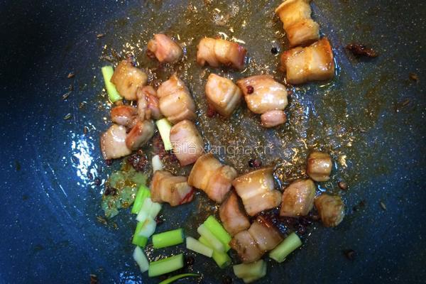 红烧肉炖土豆的做法图解9