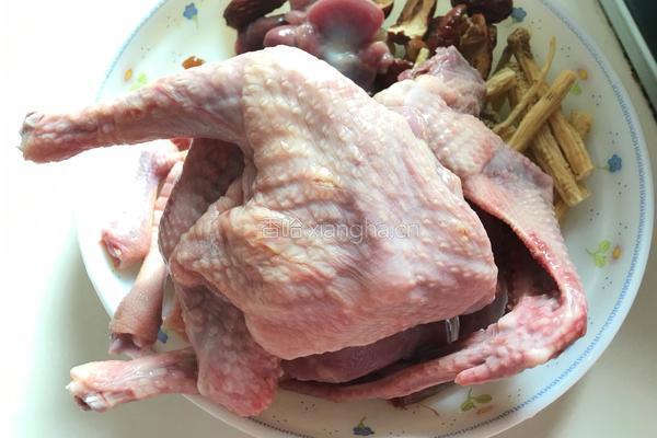 清炖乳鸽的做法图解3