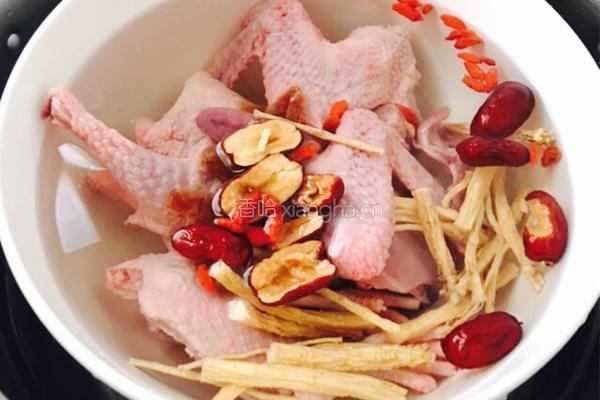清炖乳鸽的做法图解4