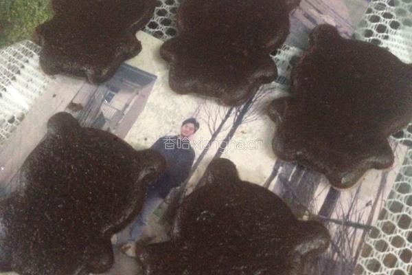 小熊饼干的做法图解14
