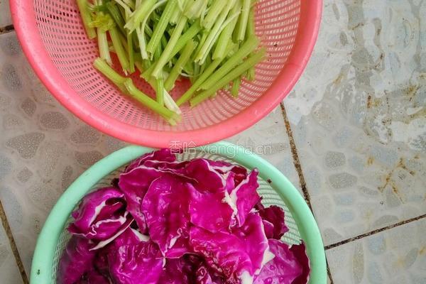泡菜（酸辣开胃）的做法图解5