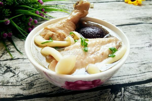 菌菇鸡汤的做法图解9